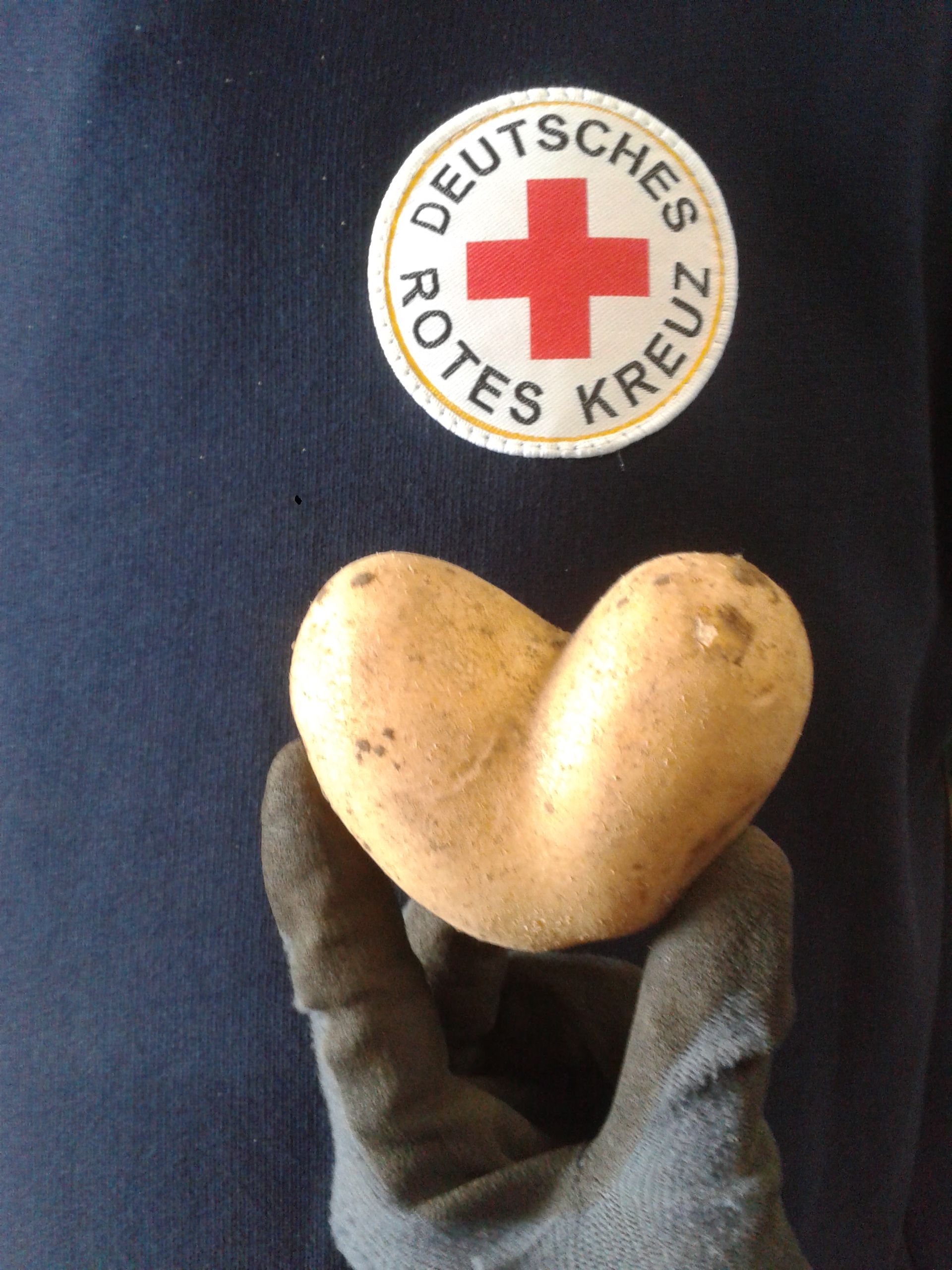 herzhafte Kartoffeln
